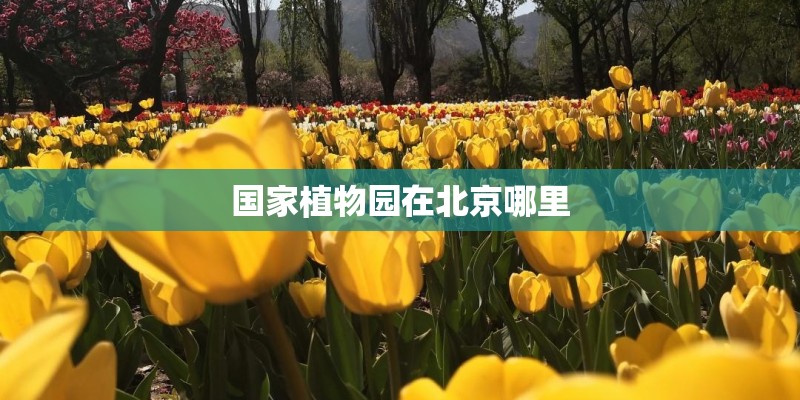 华硕电脑售后维修服务网点