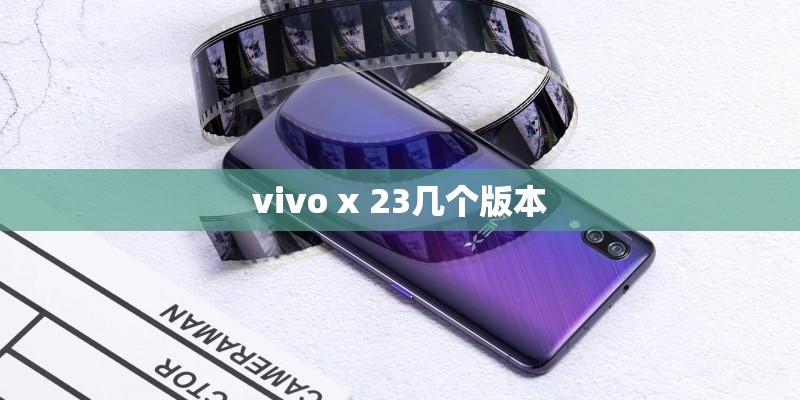 vivo x 23几个版本