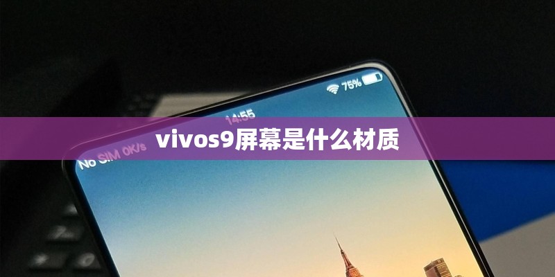 vivos9屏幕是什么材质