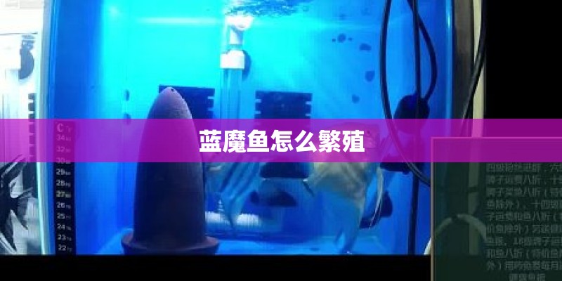 【上海六院怎么了?官方回应,上海六院宣传片】