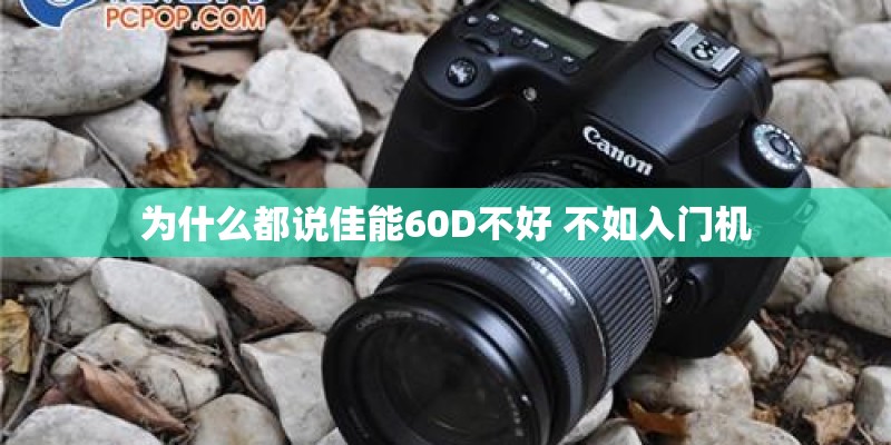 为什么都说佳能60D不好 不如入门机